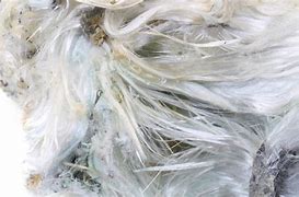 Content image for Understanding Asbestos Lawsuits: How to Protect Yourself and Your Family